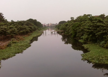 খাল দখল নিয়ে বিএনপির দুই পক্ষের সংঘর্ষ, আহত ৫