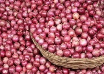 পেঁয়াজে হঠাৎ কারসাজির ঝাঁজ